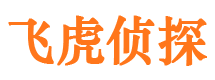 新都市婚姻调查